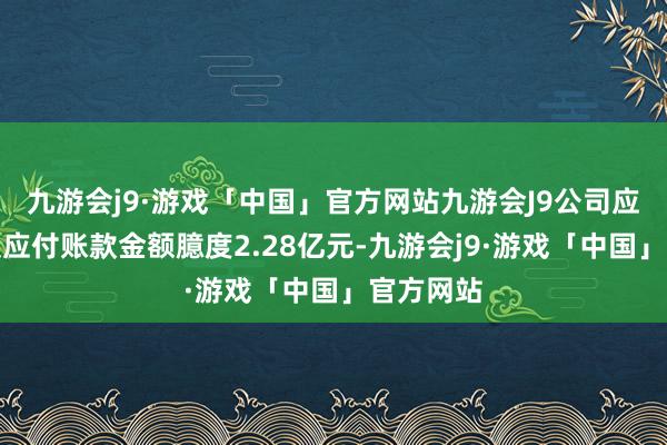 九游会j9·游戏「中国」官方网站九游会J9公司应付单子及应付账款金额臆度2.28亿元-九游会j9·游戏「中国」官方网站